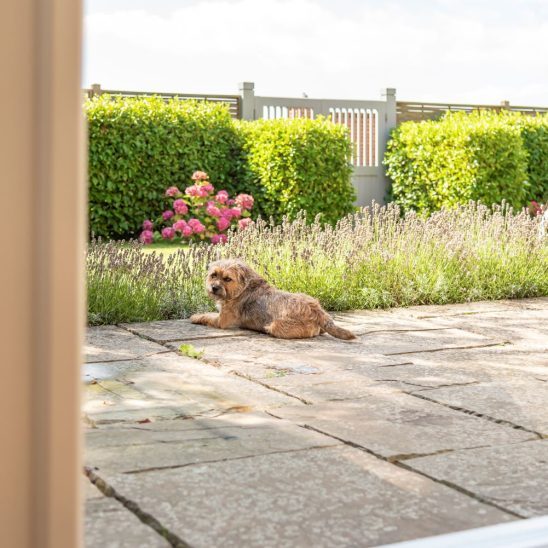 Timber French doors and windows in Window Grey on the outside and pure white on the inside