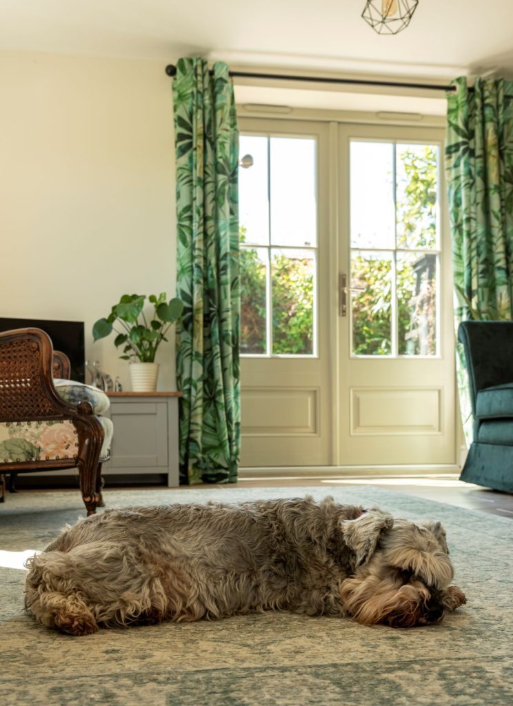 A set of timber french doors with slim astragal glazing bars, thermally efficient double glazing panels finished in french grey 