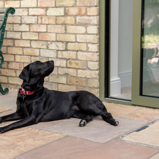 Sunflex SVG30 aluminium sliding doors in green with low threshold - getting the seal of approval from a four legged friend :-)